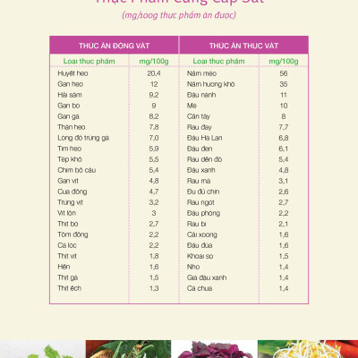 Ăn Dặm Thông Minh - Nuôi Con Mau Lớn - FN