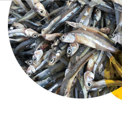 Lốc 8 Chai Nước Mắm Cốt Phú Quốc - Quốc Vị 60ml Độ Đạm Chai Thủy Tinh 40N Cá Cơm