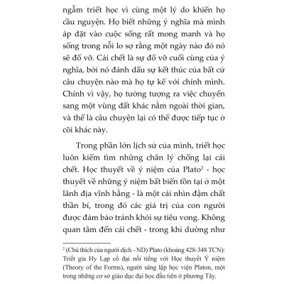 Mèo Và Triết Lý Nhân Sinh