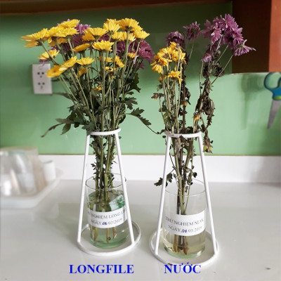 GÓI DƯỠNG HOA TƯƠI LONGLIFE CỦA ISRAEL (COMBO 30 GÓI), GIỮ HOA TƯƠI LÂU GẤP 2 LẦN VÀ 14 NGÀY KHÔNG THAY NƯỚC MỚI