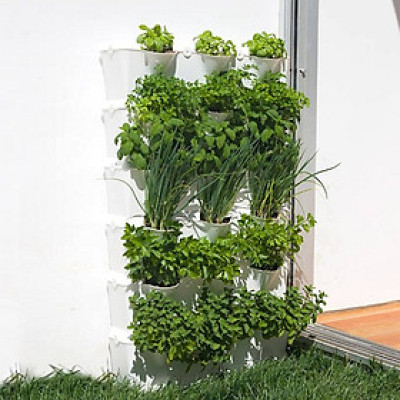 Chậu Trồng Rau Đứng Nhập Khẩu (Combo 4 bộ) kèm bộ tự Tưới nhỏ giọt và tự bón phân cho rau tự động