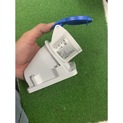 Ổ cắm công nghiệp PKF16W423 Schneider 16A, 2P+E