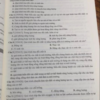 Tự học sinh học lớp 11 tập 1 + tập 2 - MoonBook