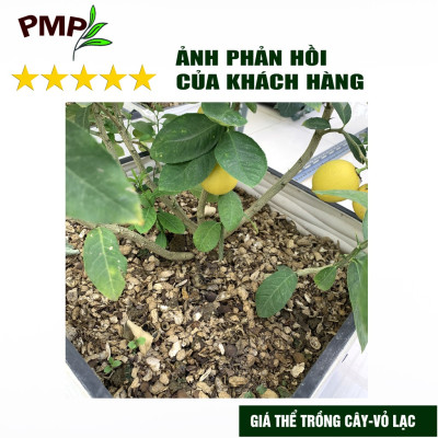 Combo 1 túi giá thể bã mía 500g & 1 túi vỏ lạc 1Kg dập nhỏ PMP để trộn đất, phủ bề mặt trồng cây