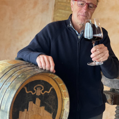 Rượu vang Organic Piqueras VS Monastrell & Garnacha Tintorera (Spain) kèm túi hộp,đồ khui