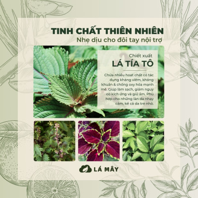 NƯỚC RỬA CHÉN BÁT (KHÔNG ĐẬM ĐẶC) TÍA TÔ & NHA ĐAM LÁ MÂY 500mL