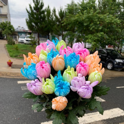 Màu Nhuộm Hoa Tươi Cắt Cành Công Nghệ Israel The Color Sodium (Chai 1 lít) là chế phẩm sinh học an toàn dùng đổi màu hoa tươi tại nhà và shop hoa