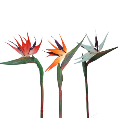 Thiên điểu giả hoa cắm trang trí bàn thờ 80cm ship HOẢ TỐC TPHCM đỏ cẩm thạch