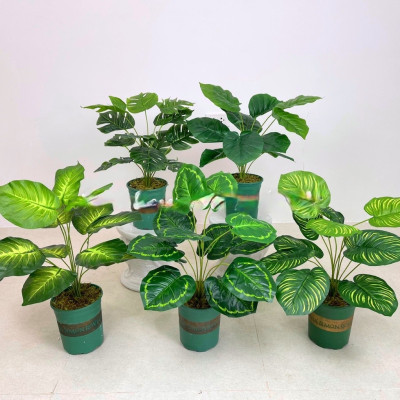 Cây trầu bà giả - 12 lá - cao 60cm - Cây giả, hoa lụa trang trí nhà cửa