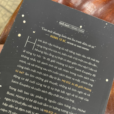 (Combo 2 cuốn) HOA SÚNG ĐEN - MÃ 612: AI ĐÃ GIẾT HOÀNG TỬ BÉ - Michel Bussi - Nhã Nam (bìa mềm)