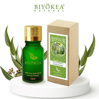 Tinh Dầu Bạch Đàn Chanh Biyokea (10ml)