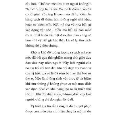 Mèo Và Triết Lý Nhân Sinh