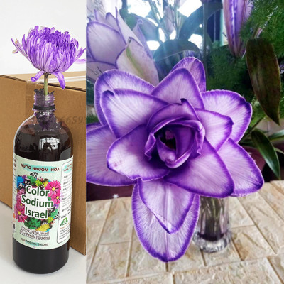 Màu Nhuộm Hoa Tươi Cắt Cành Công Nghệ Israel The Color Sodium (Chai 1 lít) là chế phẩm sinh học an toàn dùng đổi màu hoa tươi tại nhà và shop hoa