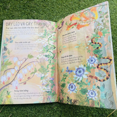 A LÊ HẤP! - THẾ GIỚI HOA - ĐÔNG A - BẢN CỨNG IN MÀU TOÀN BỘ -