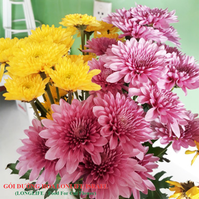 GÓI DƯỠNG HOA TƯƠI LONGLIFE CỦA ISRAEL (COMBO 30 GÓI), GIỮ HOA TƯƠI LÂU GẤP 2 LẦN VÀ 14 NGÀY KHÔNG THAY NƯỚC MỚI