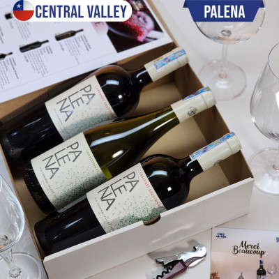 Vang Trắng Chile PALENA CHARDONNAY