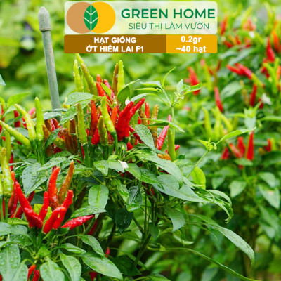 Hạt Giống Ớt Hiểm Lai Greenhome, Gói 0,2gr~40 hạt, Dễ Trồng, Sai Trái, Siêu Cay G14