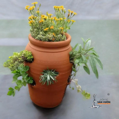 Chậu Gốm Đất Nung Nhiều Túi - Thiết Kế Độc Đáo Cho Cây Sen Đá, Xương Rồng, Dâu Tây - Strawberry Pot Trang Trí Sân Vườn