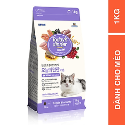 [1KG ] - Thức ăn hạt cho mèo nhỏ TODAY