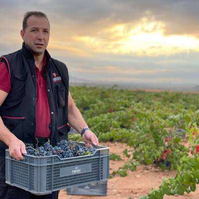Rượu vang Organic Piqueras VS Monastrell & Garnacha Tintorera (Spain) kèm túi hộp,đồ khui