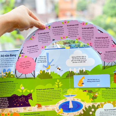 Sách - Combo 2 tập Tớ yêu khoa học cùng khám phá chuyến phưu lưu của não bộ và của nước - Đinh Tị Books