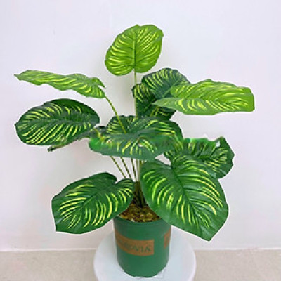 Cây trầu bà giả - 12 lá - cao 60cm - Cây giả, hoa lụa trang trí nhà cửa