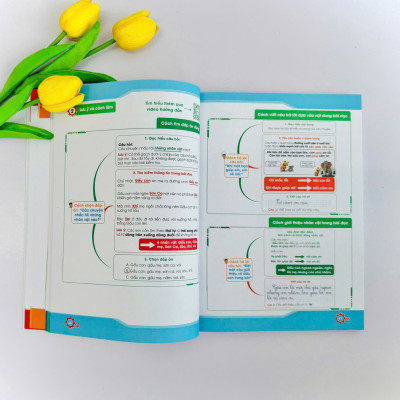  Chinh phục điểm 10 đề kiểm tra học kì Tiếng Việt 2 (Bộ sách KNTTVCS)