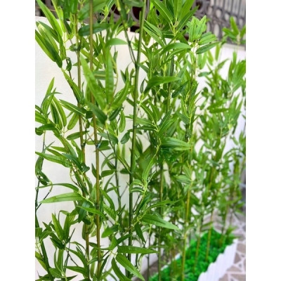 Trúc quân tử giả Set 20 cây trúc giả - Size từ 120cm đến 200cm - Cây giả, hoa lụa trang trí nhà cửa