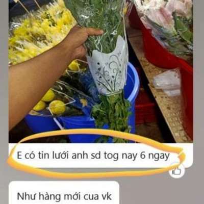 Nước Cắm Hoa Lâu Tàn Israel (Chai 100ml) Dành Cho Vựa Hoa TOG Galileo - Giúp Kiềm Hoa Không Nở và Hoa Tươi Lâu tại vựa hoa