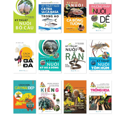 Kỹ Thuật Nuôi Tôm Hùm