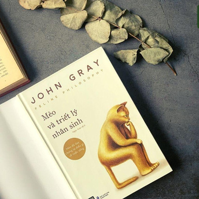 Mèo Và Triết Lý Nhân Sinh
