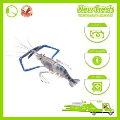 [GIAO NHANH HCM] Tôm Càng Xanh Đông Lạnh - Túi 1Kg (9-10 con)