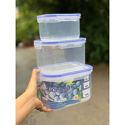 Bộ 3 Hộp Đựng Thực Phẩm Cao Cấp Trong Tủ Lạnh Nắp Đậy Kín Khít, An Toàn Cho Sức Khỏe