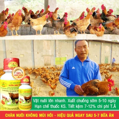 Chế phẩm sinh học VƯỜN SINH THÁI chăn nuôi Vỗ Béo không Mùi Hôi - Vật nuôi chắc thịt lớn nhanh ít bệnh dịch - Thức ăn bổ sung cho lợn gà chó mèo chim
