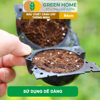 Bầu Chiết Cành GreenHome, R4cm(1 Thùng 200 CÁI), Tăng Khả Năng Ra Rễ, Phù Hợp Với Hoa Hồng, Bonsai