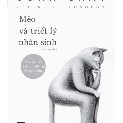 Mèo Và Triết Lý Nhân Sinh