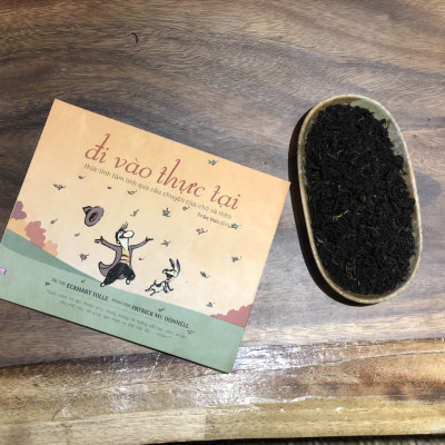 Combo sách Đi Vào Thực Tại; Thực Hành Theo Luận Đại Thừa Khởi Tín