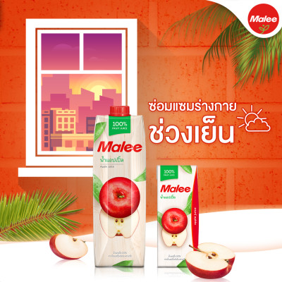 COMBO 3 Hộp Nước Ép Táo Malee 200ml | Malee 100% Apple Juice 200ml