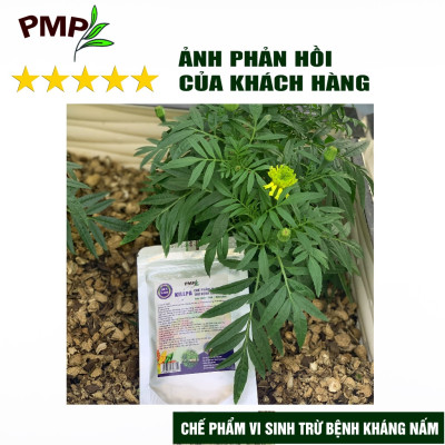 Chế phẩm vi sinh Killpa PMP trừ bệnh, kháng nấm cho rau sạch, hoa, cây cảnh, an toàn, hiệu quả