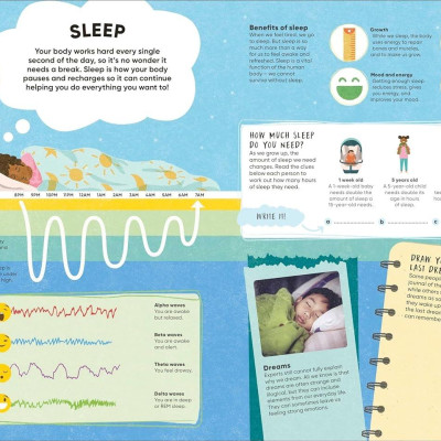 Sách ngoại văn: Brain Booster Human Body