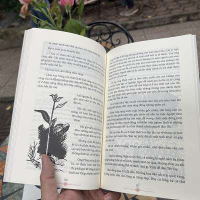 (Combo 3 cuốn Thâm Tâm) HAI CÂY HOA NHÀI – CON RÙA ĐÔI VẸT – THUỒNG LUỒNG Ở NƯỚC - Nxb Kim Đồng - bìa mềm