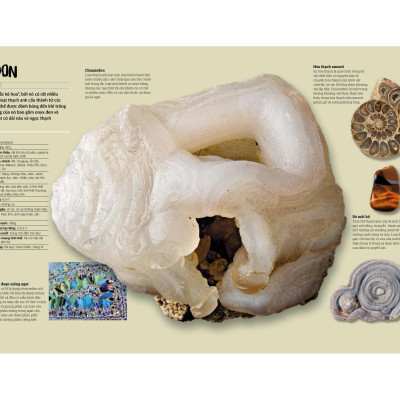 Đá Quý Và Khoáng Sản - Bìa Cứng (Tái Bản)