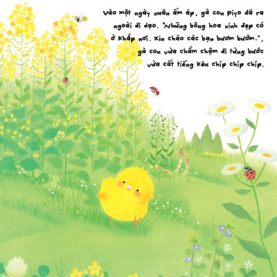 Sách - Gà con và hoa hướng dương