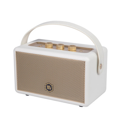 Loa Bluetooth Alpha Works W88 - Hàng Chính Hãng