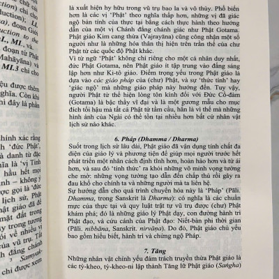 Sách - Phật Điển Phổ Thông - Dẫn Vào Tuệ Giác - Bìa cứng