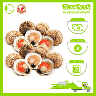 [GIAO NHANH HCM] Sò Điệp Nhật Nguyên Con Đông Lạnh - Túi 1Kg