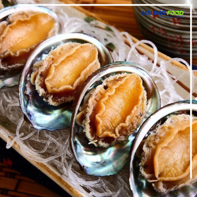 Bào Ngư Thượng Hải Size 20-24 Con/Kg- 1 Kg