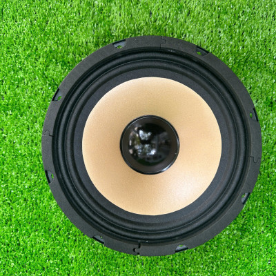 CỦ LOA BASS RỜI 20 COIL 38 TỪ 100 GÂN VẢI HÀNG CHÍNH HÃNG HẢI TRIỀU ( GIÁ 1 CÁI)