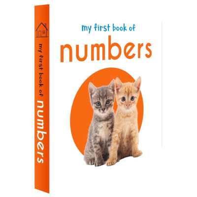 My First Library : Boxset of 10 Board Books for Kids