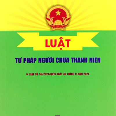 Sách - Luật Tư Pháp Người Chưa Thành Niên